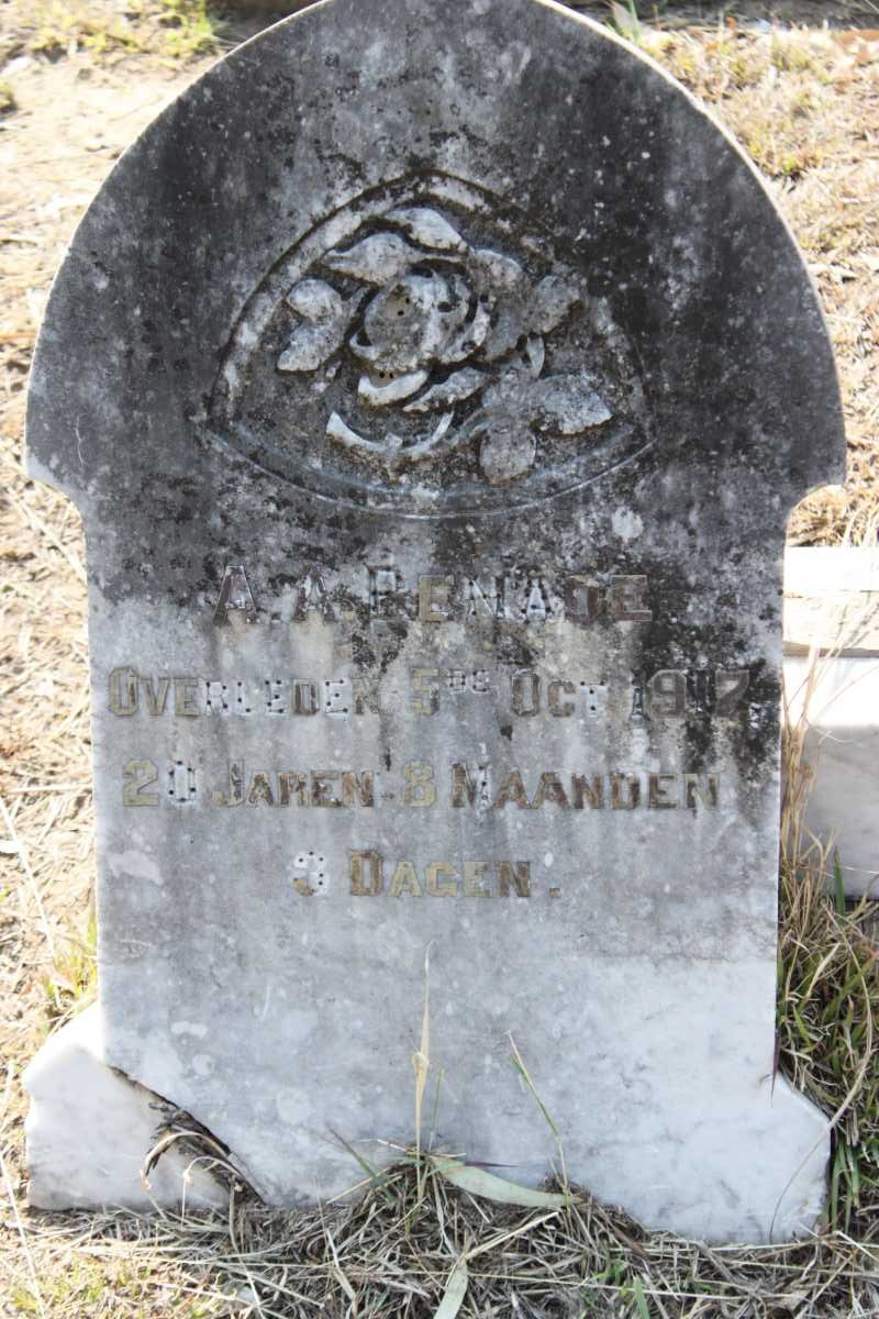 BENADE A.A. 1897-1917