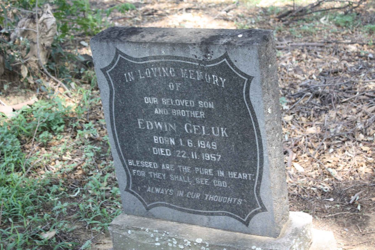 GELUK Edwin 1949-1957