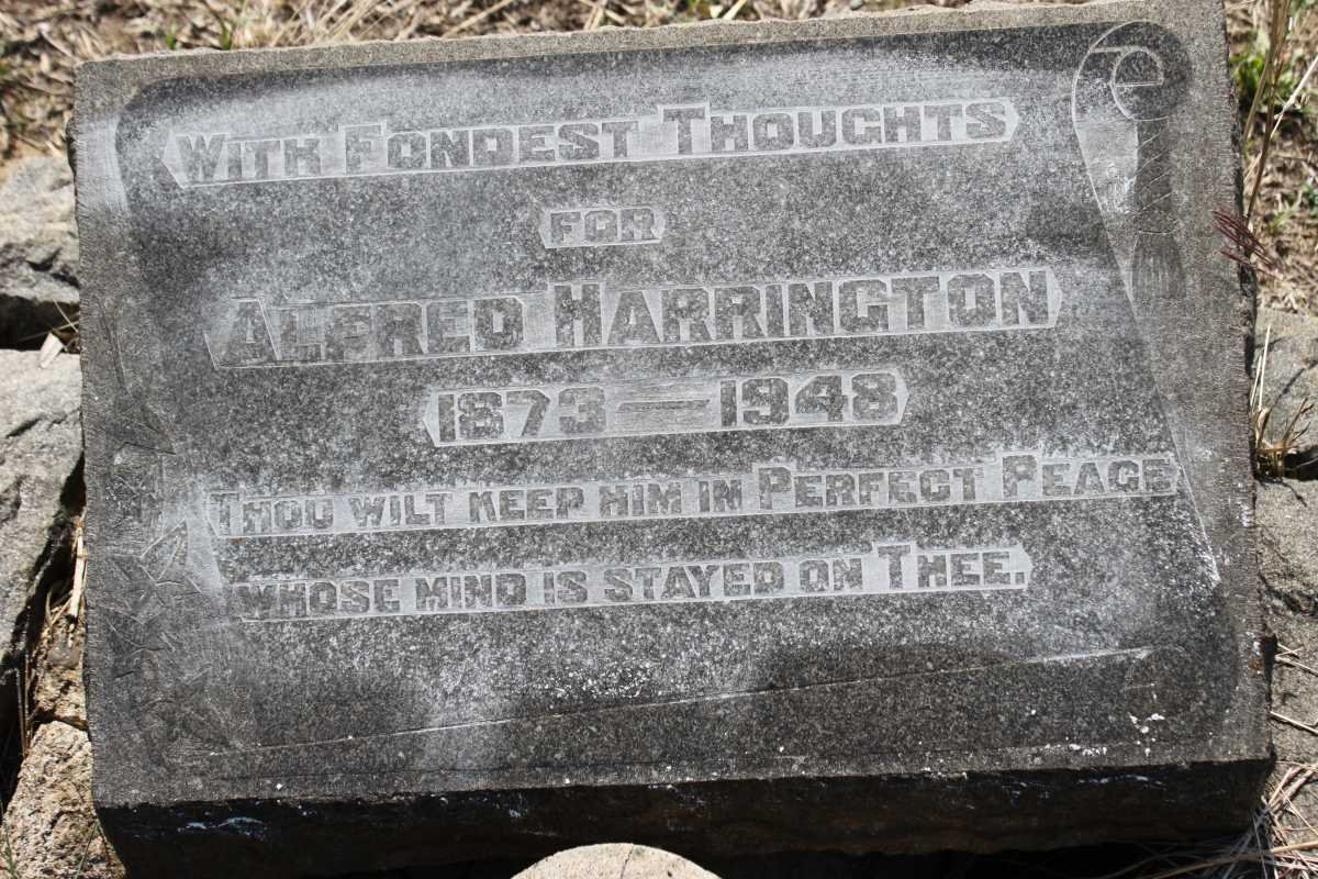 HARRINGTON Alfred 1873-1948