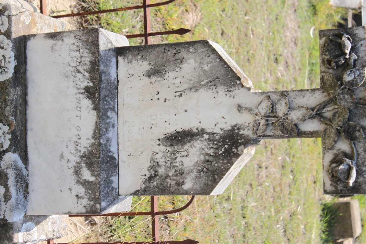 HAAS Adolph A., de