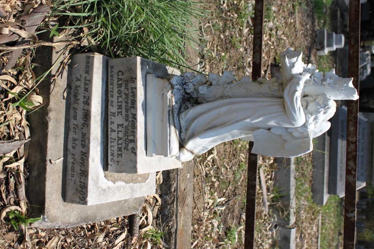 ILLING Caroline Elaine 1906-1909
