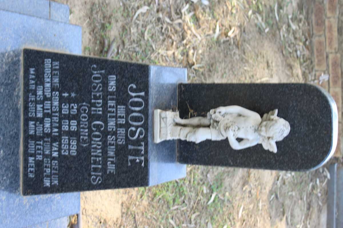 JOOSTE Joseph Cornelis 1990-1993