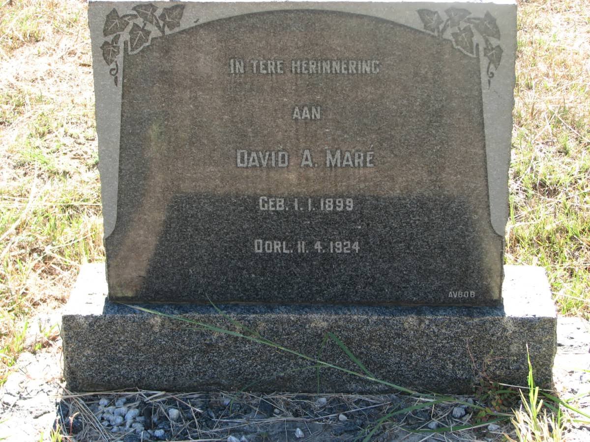MARÉ David A. 1899-1924