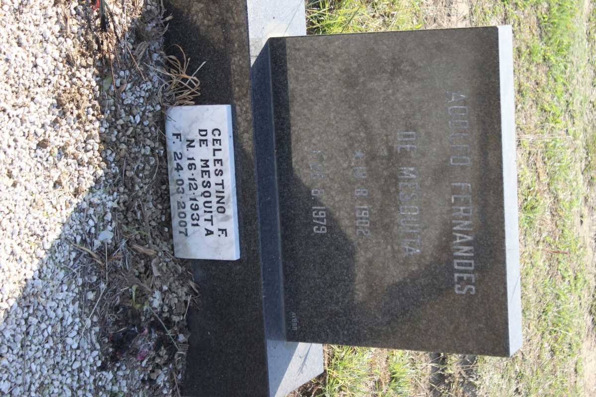 MESQUITA Adolfo Fernades, de 1902-1979 &amp; Celestino F. 1931-2007