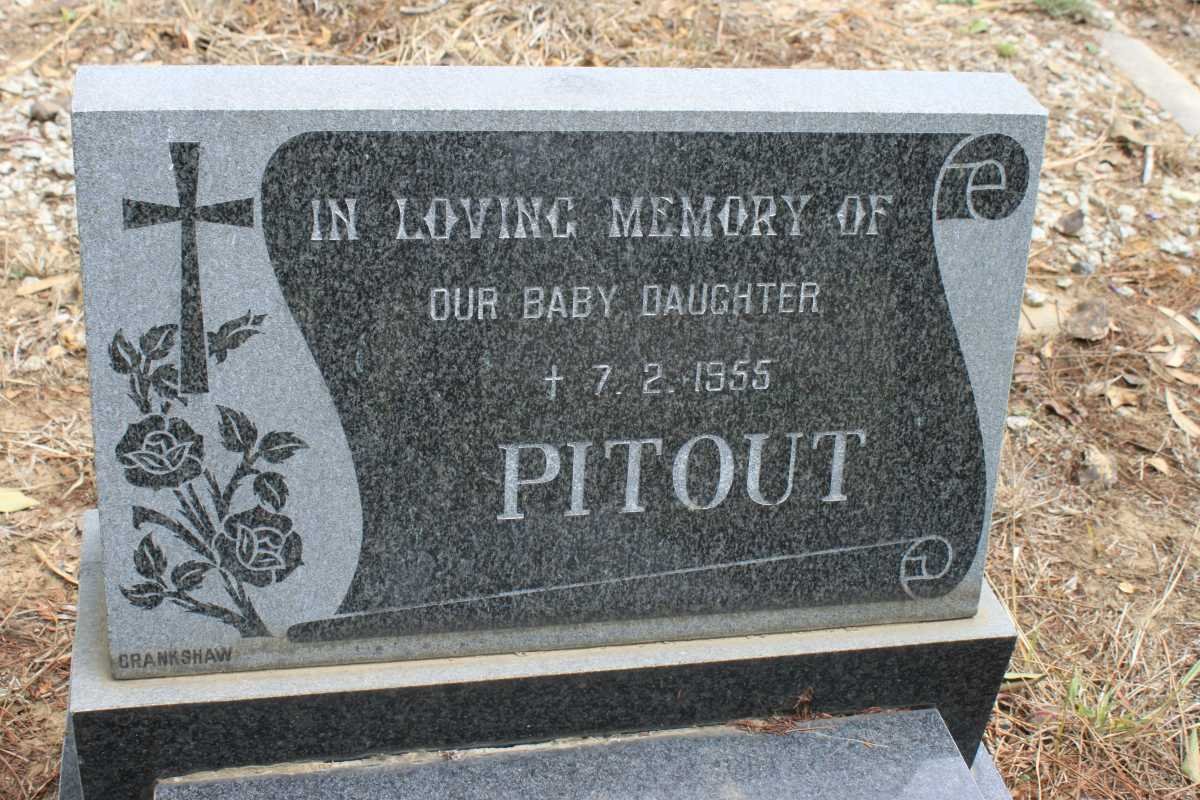 PITOUT -1955