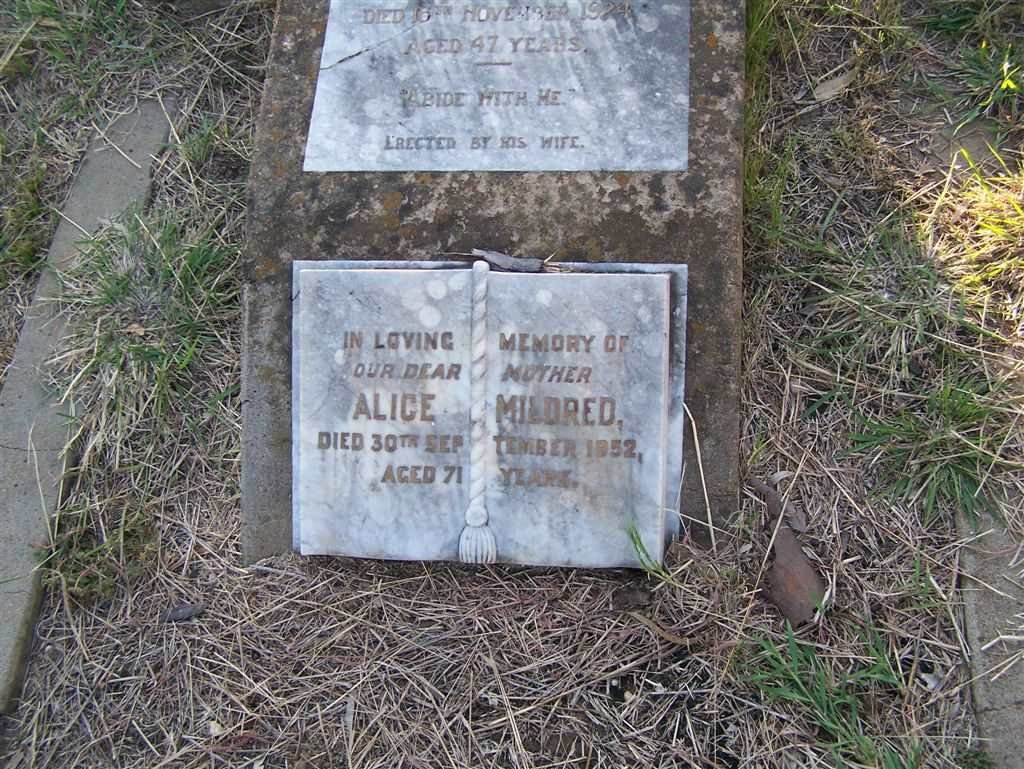 PALMER Alice Mildred -1952