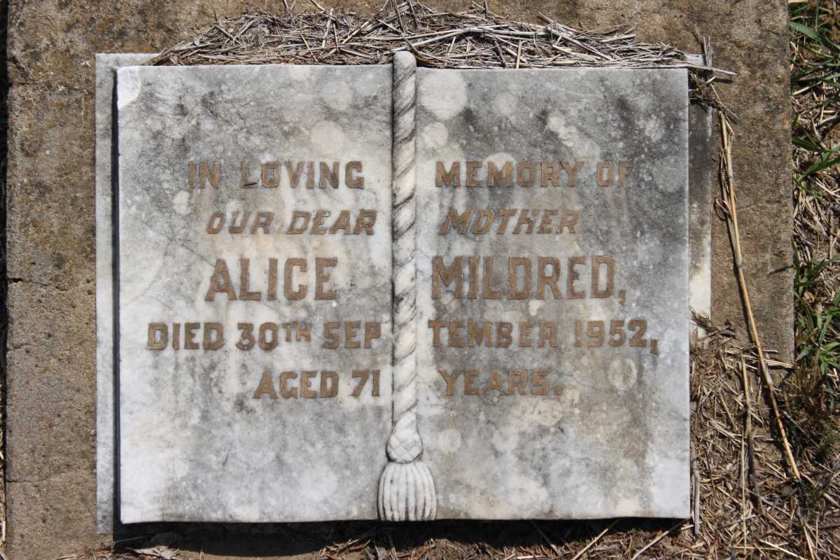 PALMER Albert -1924 &amp; Alice Mildred -1952