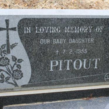 PITOUT -1955