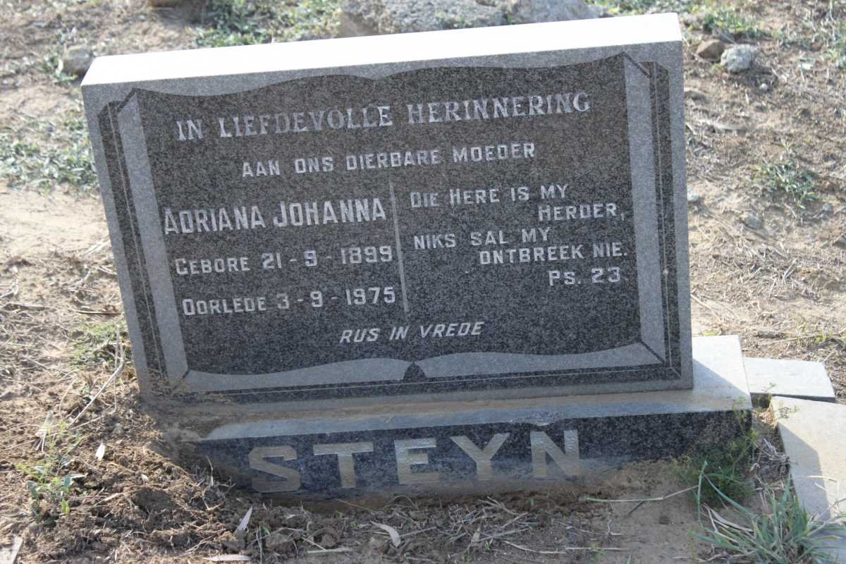 STEYN Adriana Johanna 1899-1975