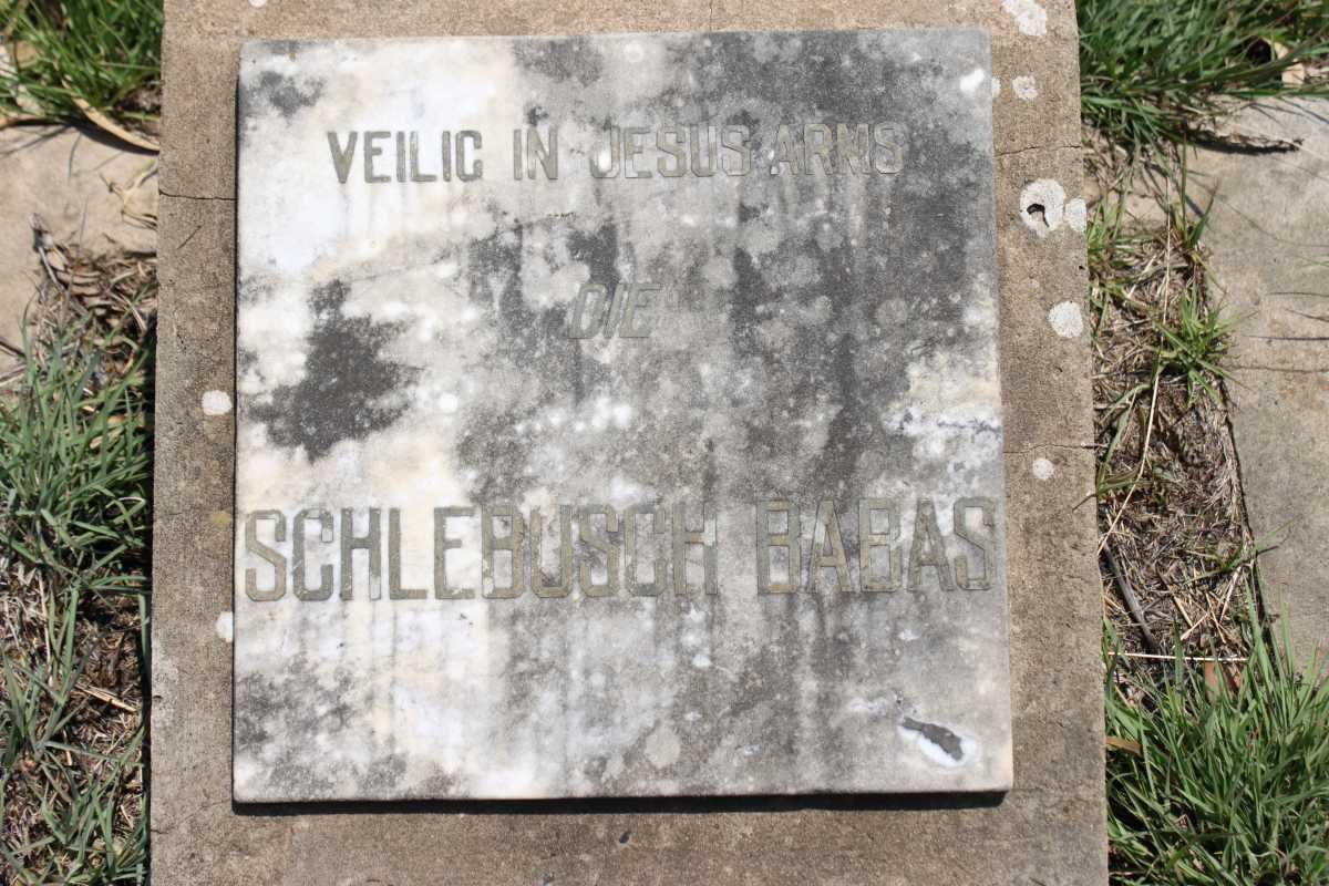 SCHLEBUSCH Babas