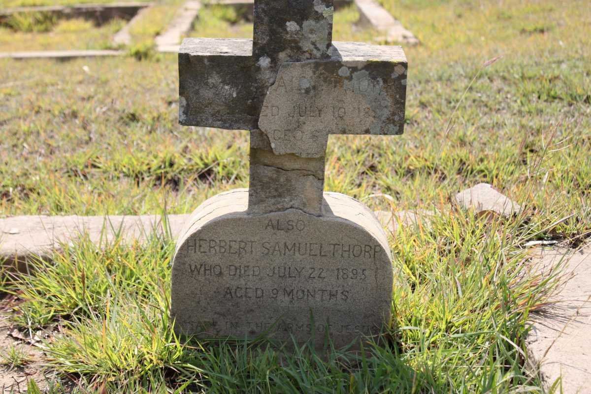 THORP Herbert Samuel -1895 :: THORP ?ai -18??