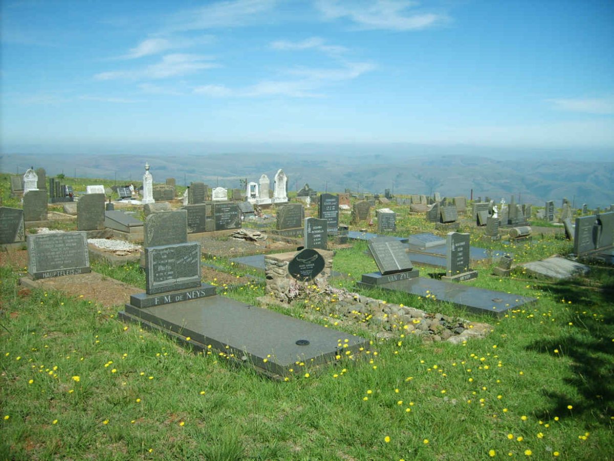 3.Overview