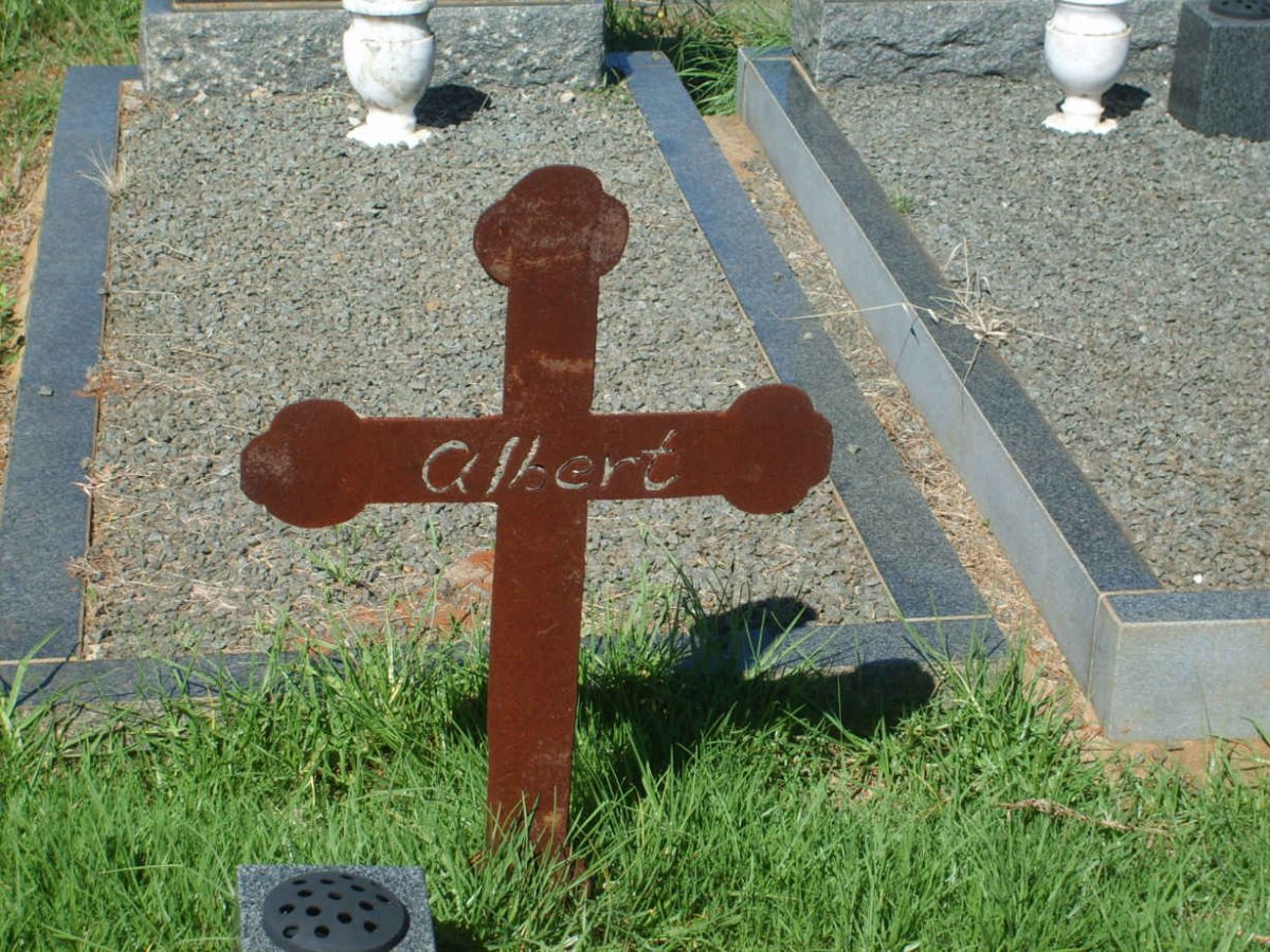 ? Albert