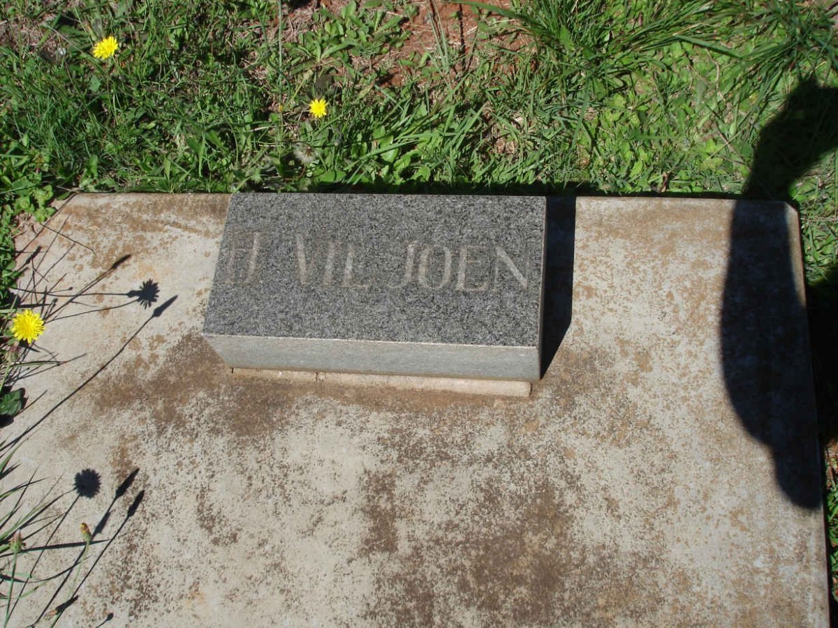 VILJOEN J.