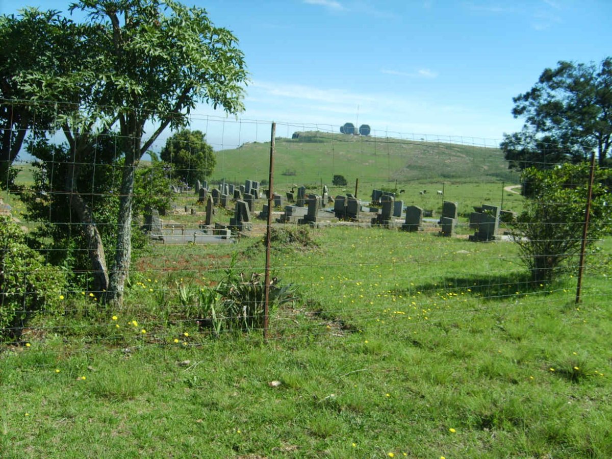 2. Overview