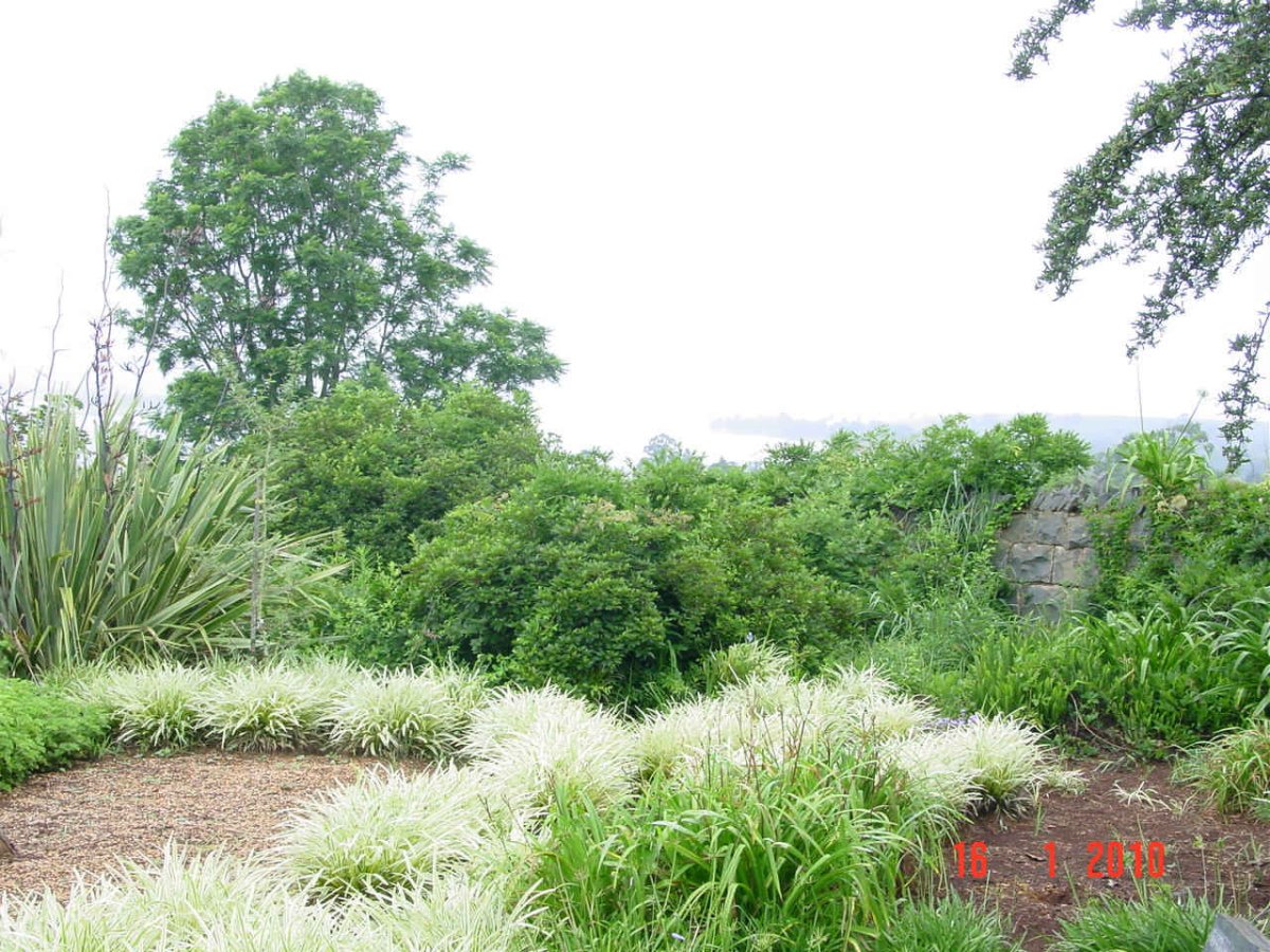 3. Overview