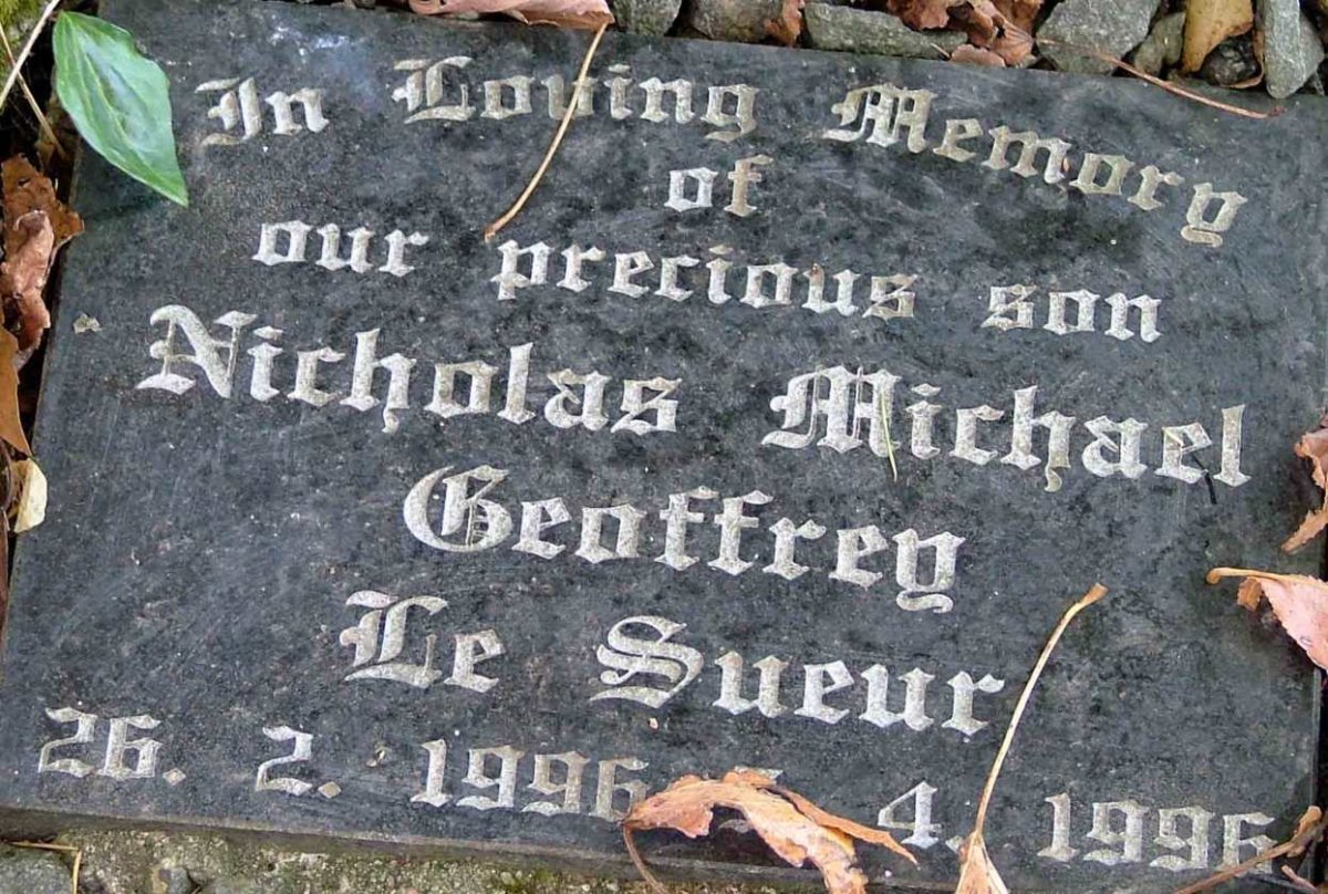 SUEUR Nicholas Michael Geoffrey, le 1996-1996
