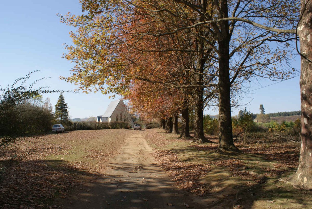 1.  Overview