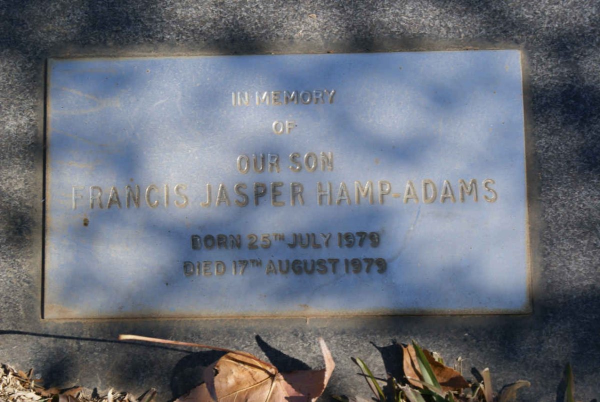 ADAMS Francis Jasper, Hamp 1979-1979