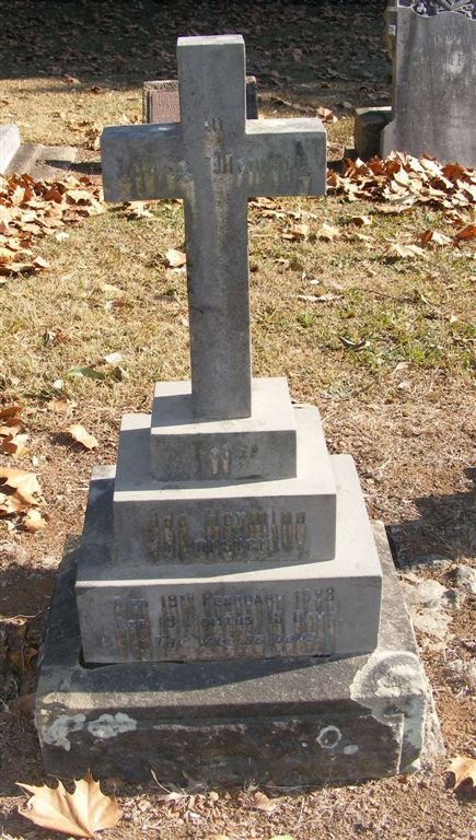 VORSTER Ada