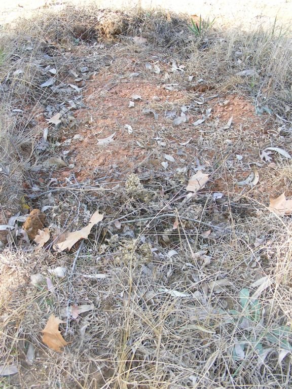 ? Unmarked Grave