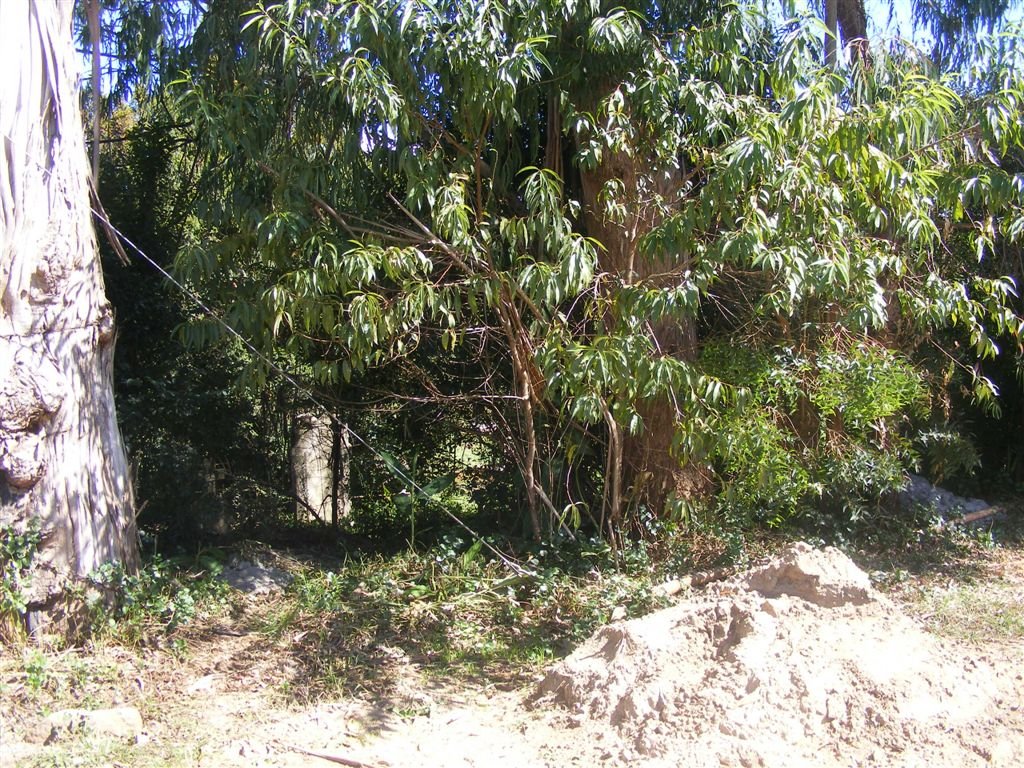7. Overview on graves