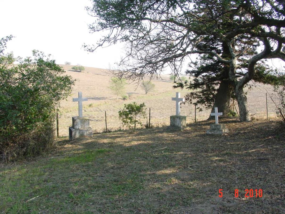 2. Overview