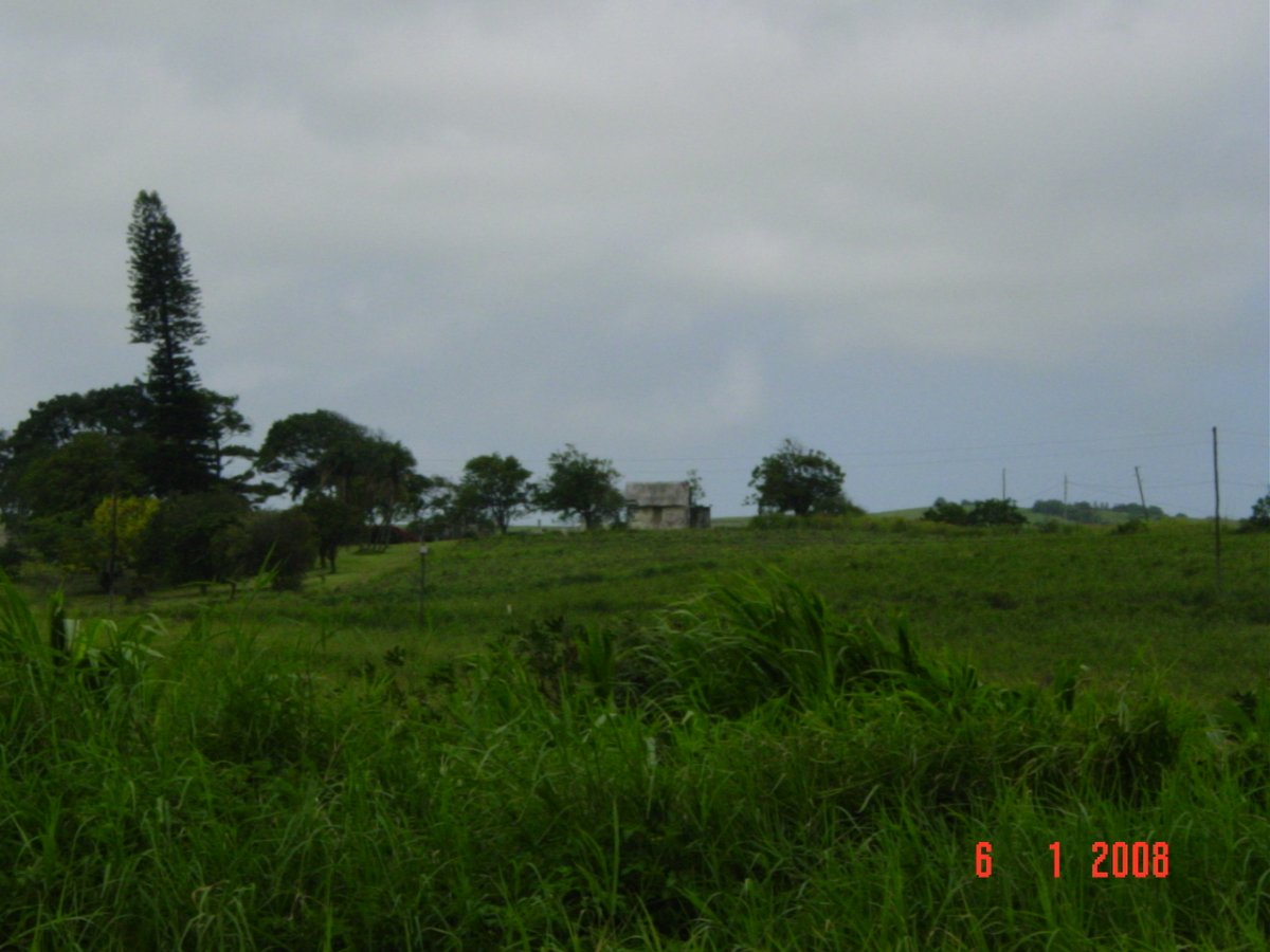 1. Overview
