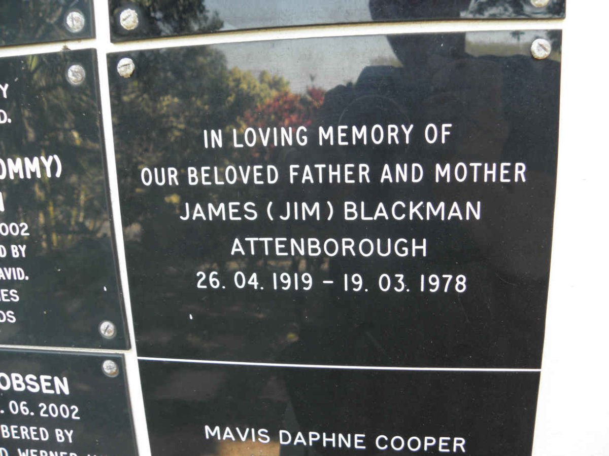 ATTENBOROUGH James Blackman 1919-1978