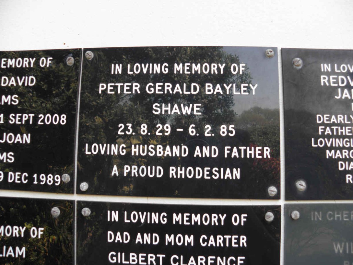SHAWE Peter Gerald Bayley 1929-1985