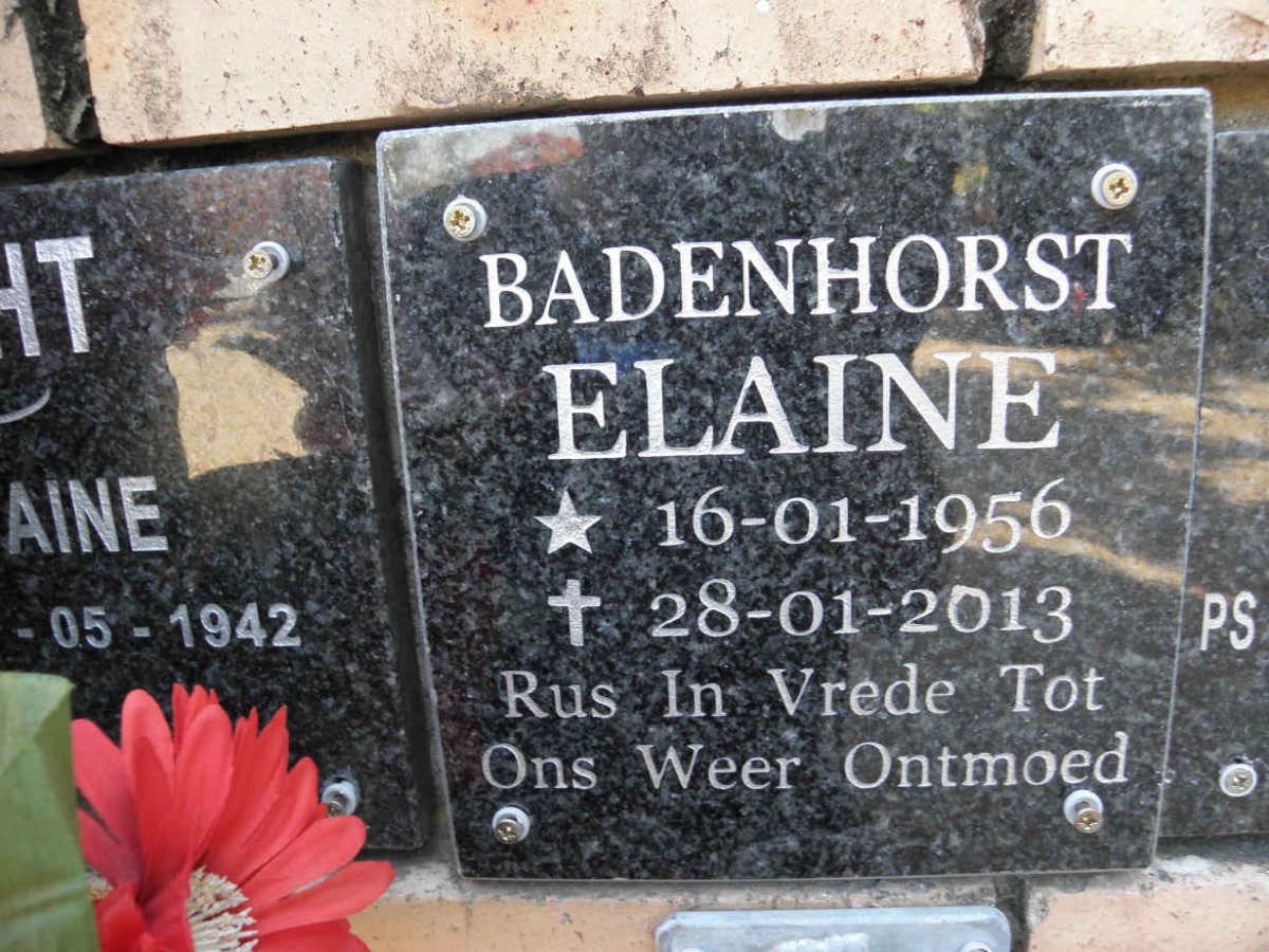 BADENHORST Elaine 1956-2013