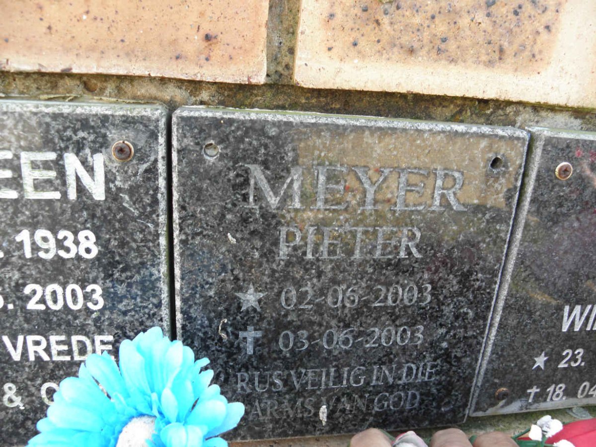 MEYER Pieter 2003-2003
