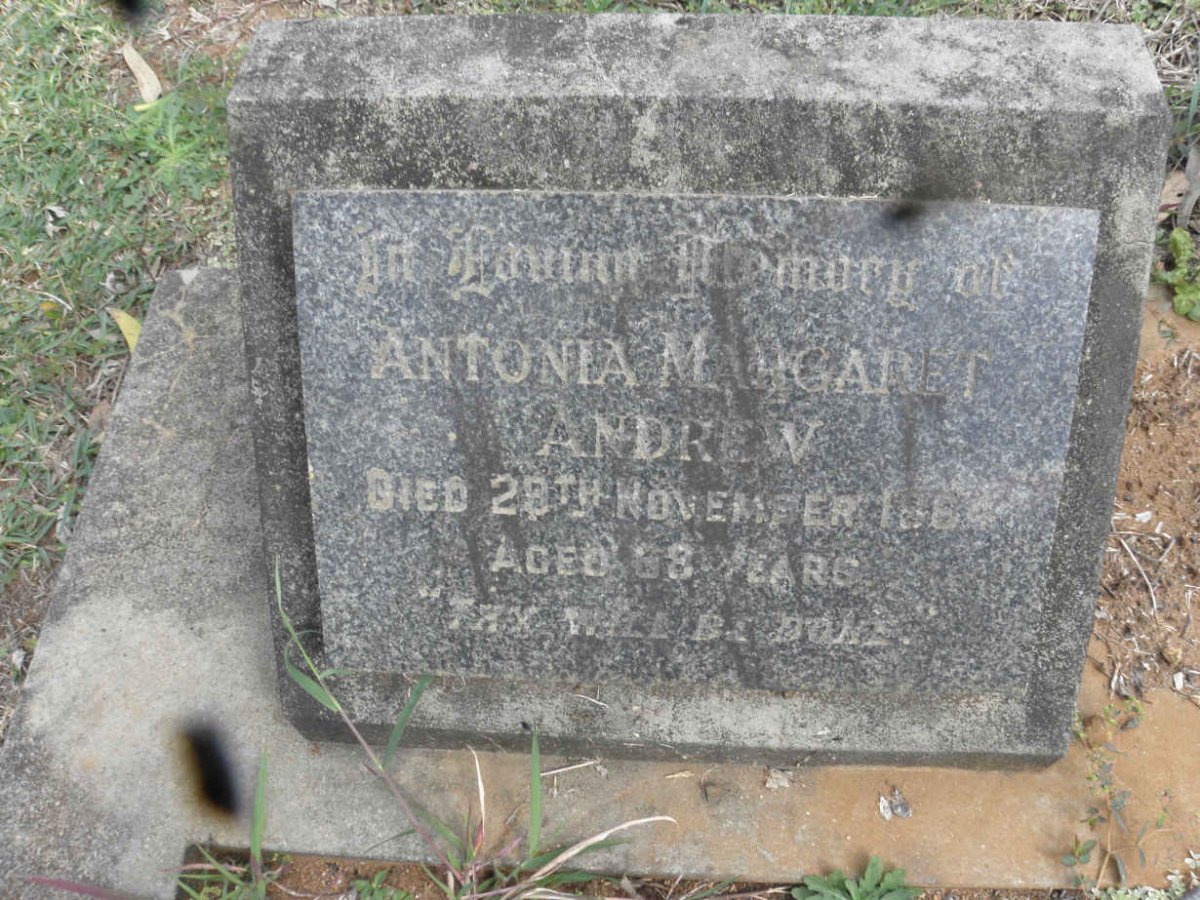 ANDREW Antonia Margaret -1964