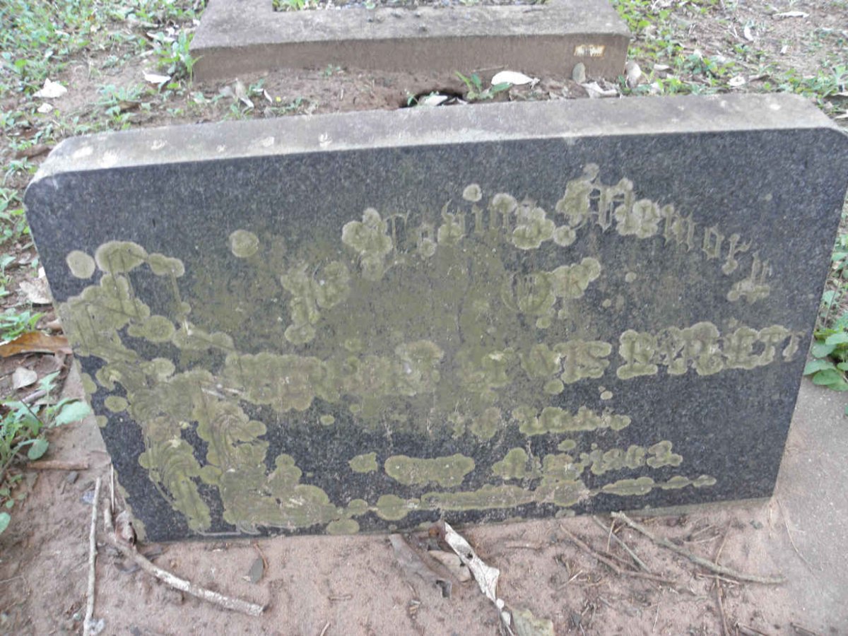 BARRETT Herbert Lewis 1902