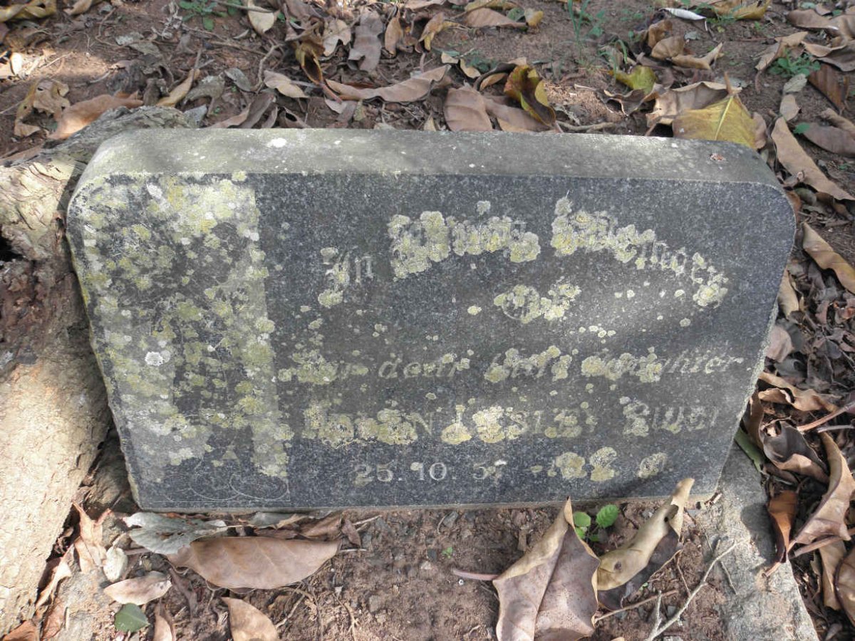 BURN H?n Lesley 19?7-196?