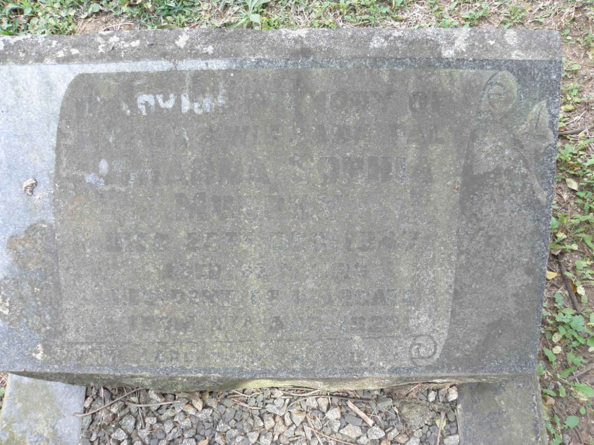 MURPHY Anna Sophia 1847-1923