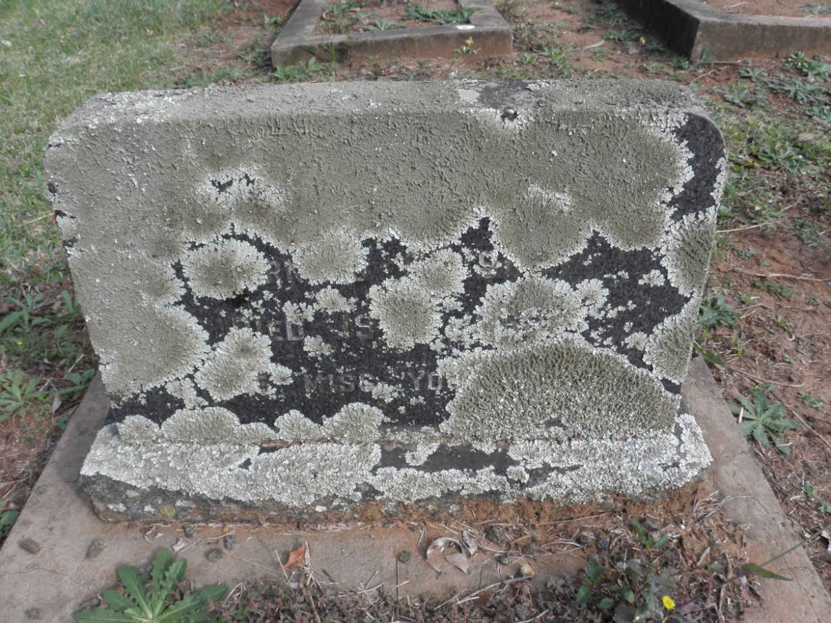 ?