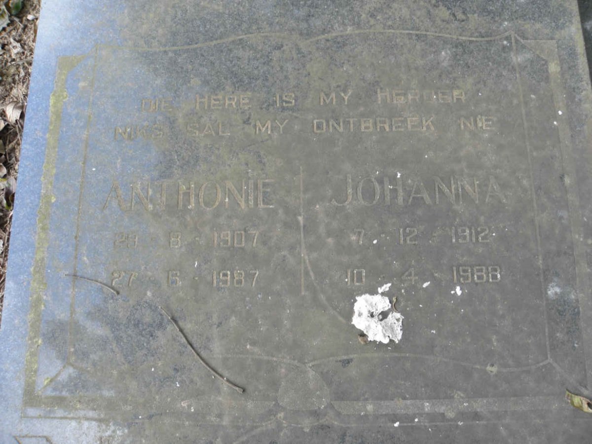 NEVELING Anthonie 1907-1987 &amp; Johanna 1912-1988 :: NEVELING Tony 1933-1989