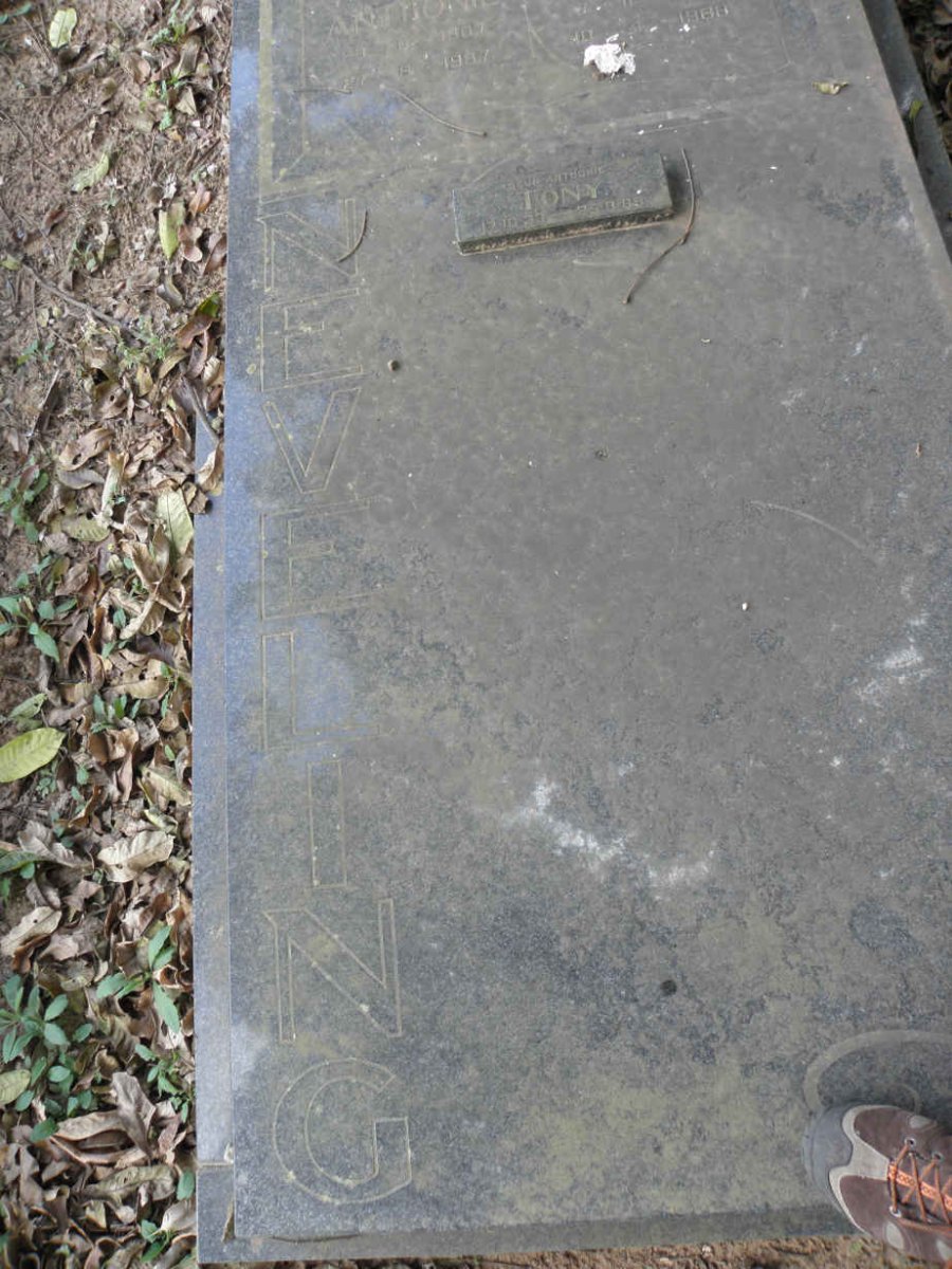 NEVELING Anthonie 1907-1987 &amp; Johanna 1912-1988 :: NEVELING Tony 1933-1989