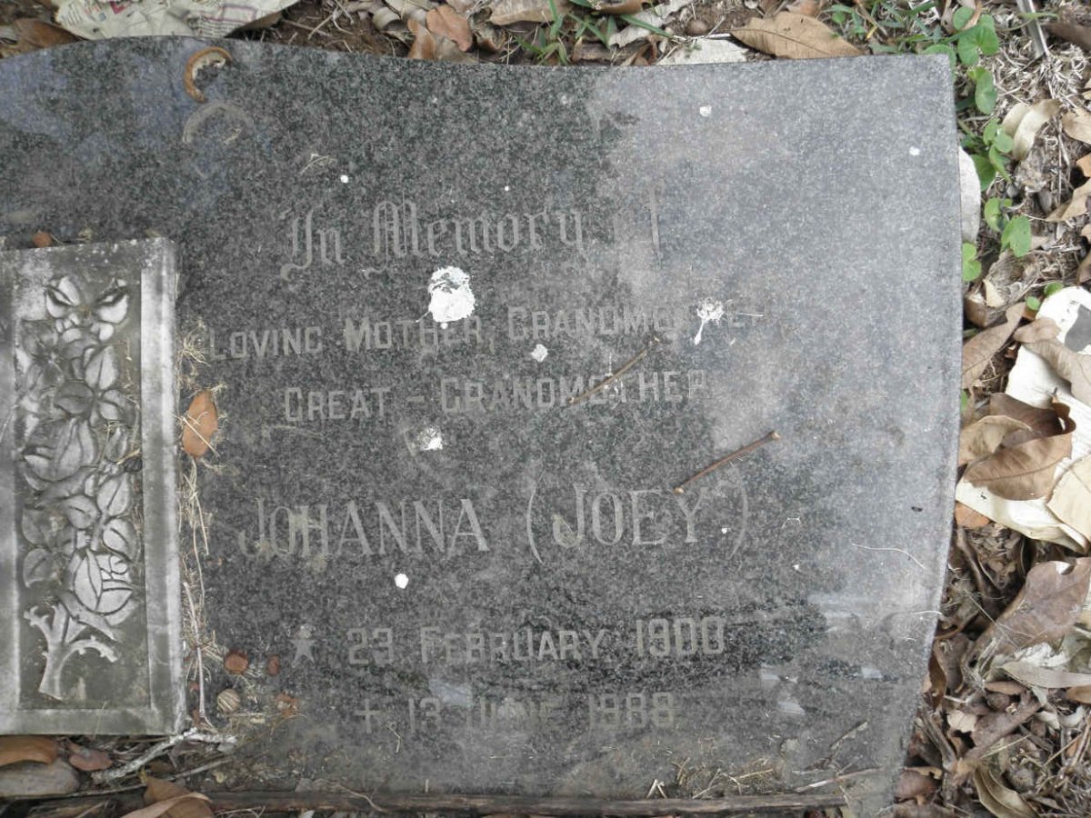 VILLIERS Jacobus Coll, de 1900-1974 &amp; Johanna 1900-1988