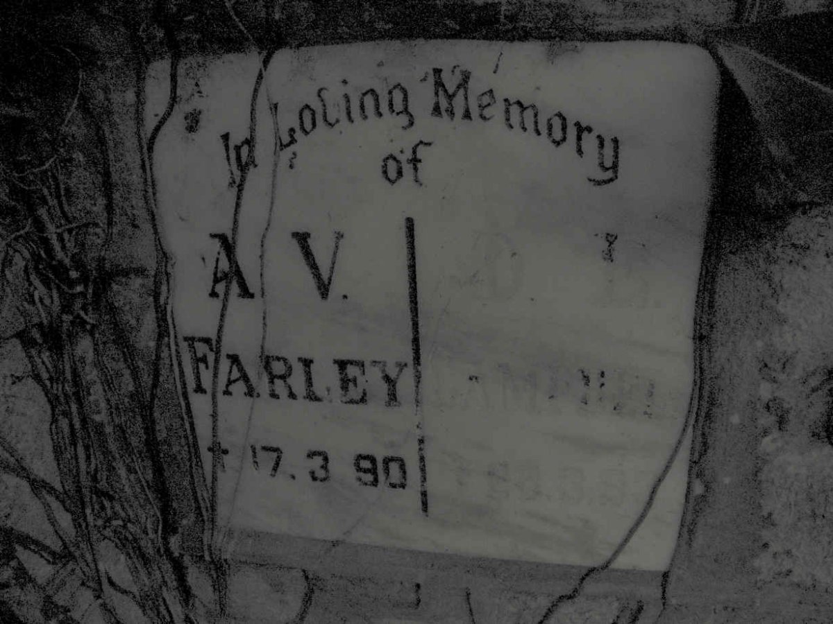 FARLEY A.V. -1990 :: CAMPBELL ?
