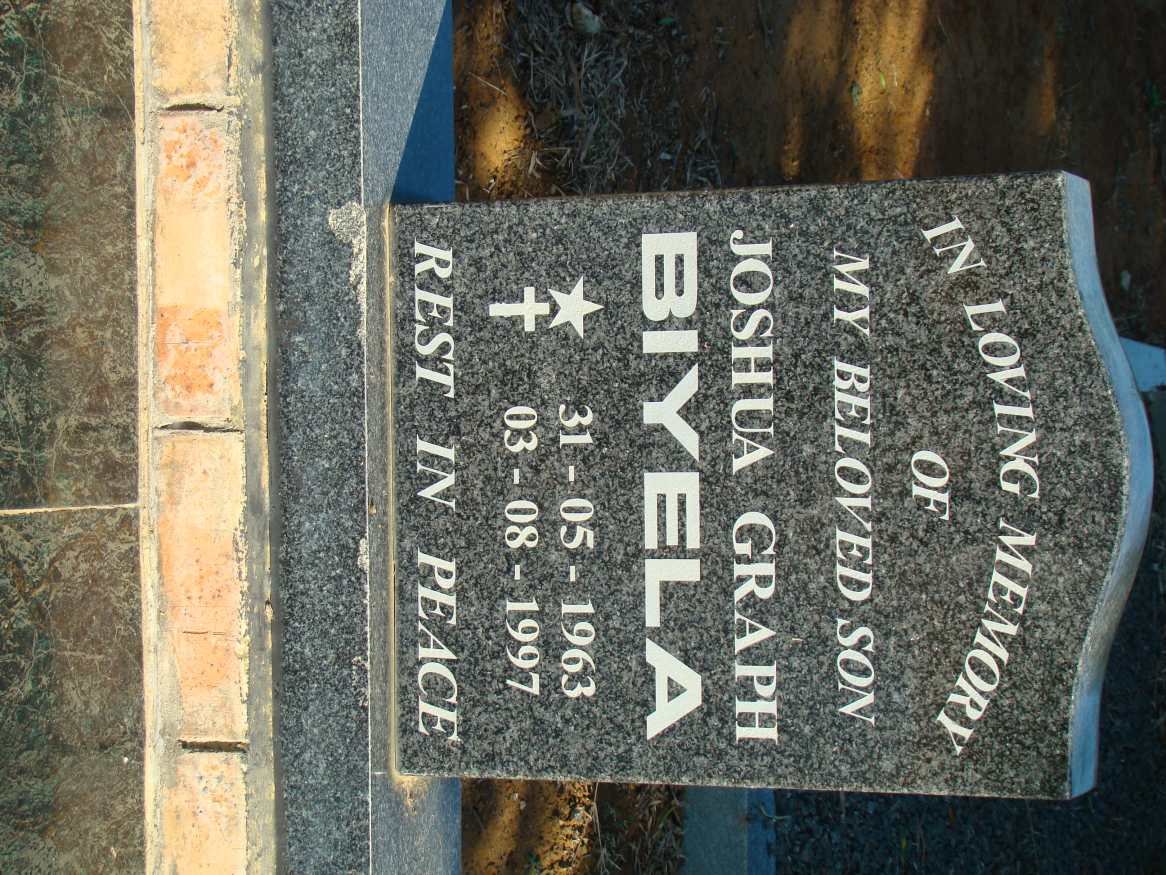 BIYELA Joshua Graph 1963-1997
