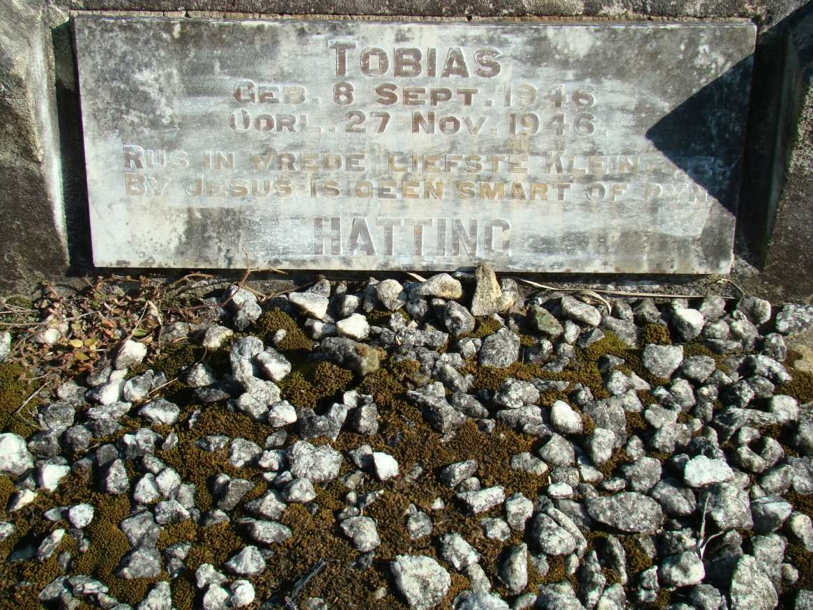 HATTING Tobias 1946-1946
