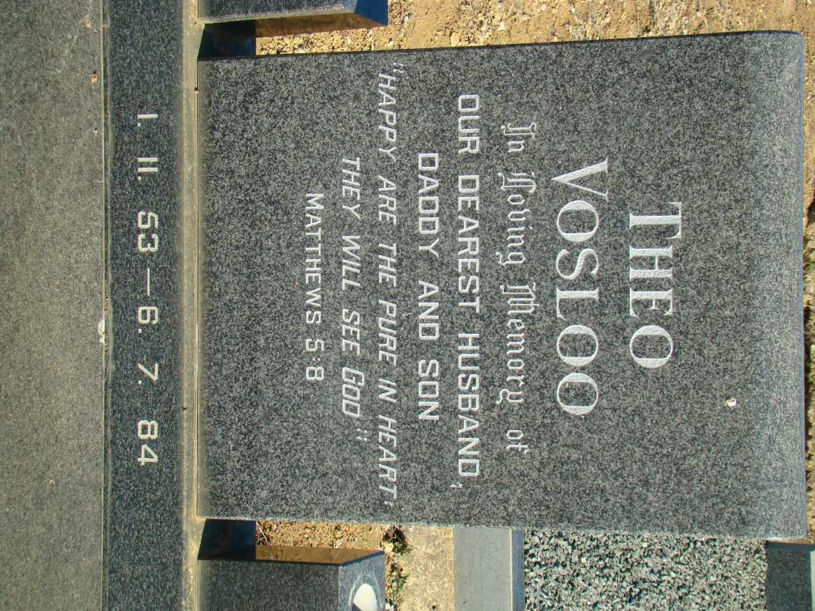 VOSLOO Theo 1953-1984