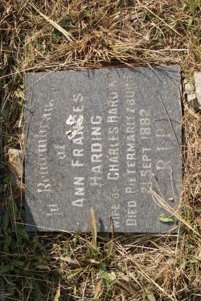HARDING Ann Francis -1882