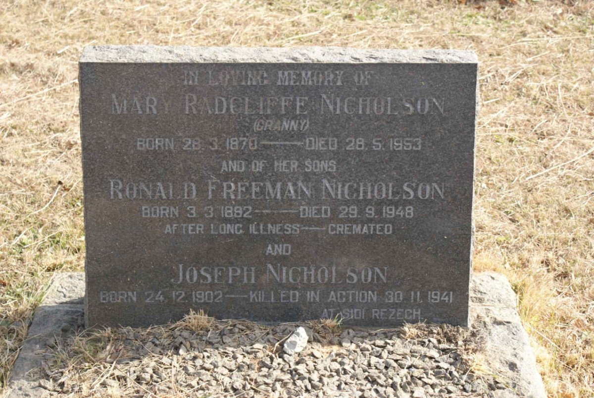 NICHOLSON :: NICHOLSON :: NICHOLSON