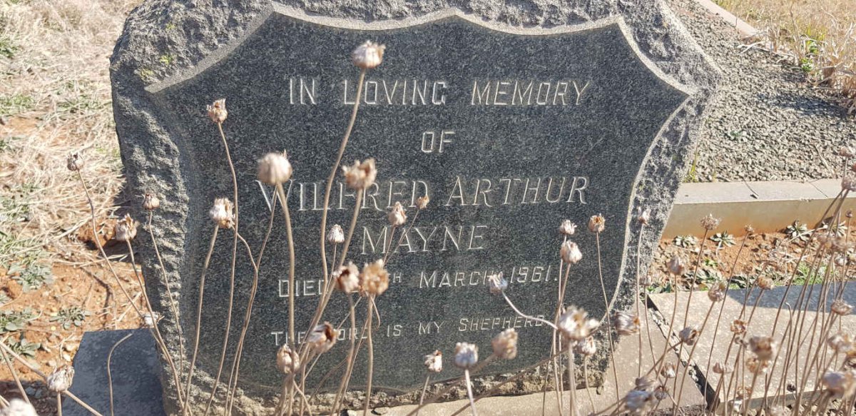 MAYNE Wilfred Arthur -1961 &amp; Violet Victoria SAULEZ 1897-1982