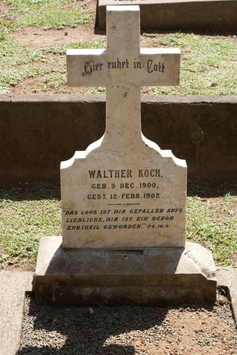 KOCH Walther 1900-1902