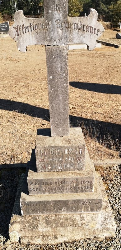 COMINS Francis Oscar -1895