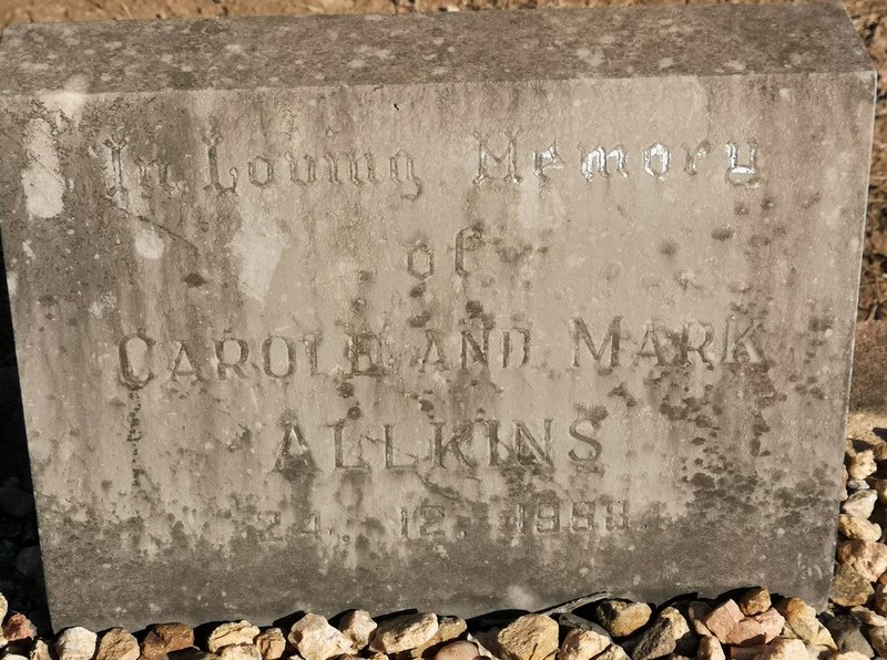 ALLKINS Mark -1968 &amp; Carole -1968